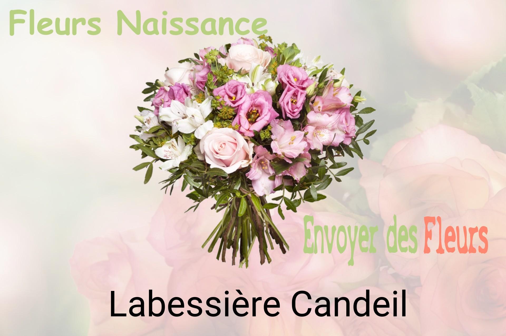 Bouquet de fleurs de naissance livré à Labessière-Candeil